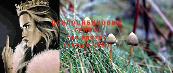 экстази Алексин
