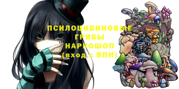 круглые Алексеевка