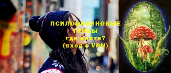 круглые Алексеевка