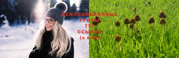 круглые Алексеевка