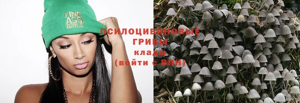 круглые Алексеевка
